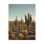 Saguaro Valley Desert Landscape Wall Art & Canvas Prints