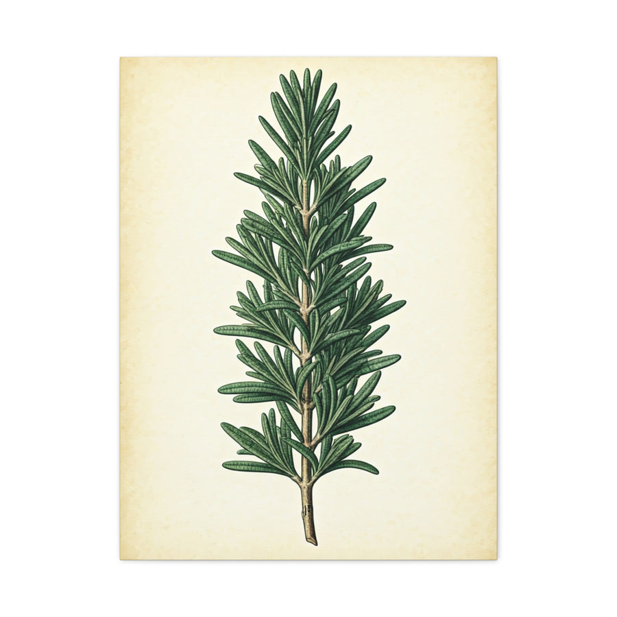 Herb Wall Art