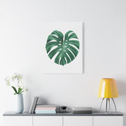 Monstera Leaf Modern Botanical Wall Art & Canvas Prints