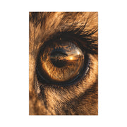Lion Eye Reflection Macro Wall Art & Canvas Print
