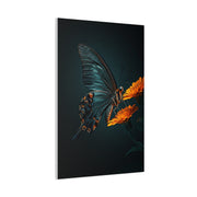 Dark Swallowtail Butterfly on Orange Blossoms Wall Art & Canvas Prints