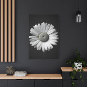 White Daisy Bloom Portrait Wall Art & Canvas Prints