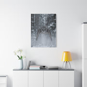 Great Grey Owl Winter Flight Wall Art & Canvas Print