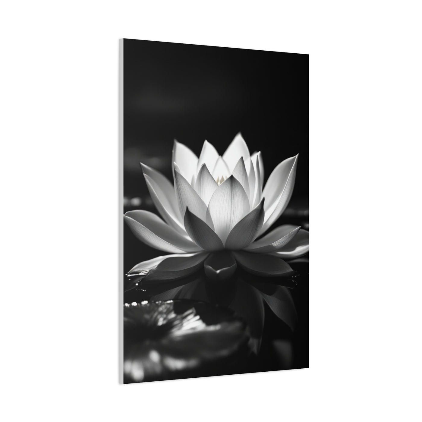 Serene Lotus Reflection Wall Art & Canvas Prints