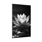 Serene Lotus Reflection Wall Art & Canvas Prints