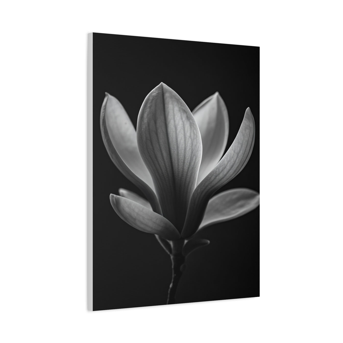 Magnolia Blossom Serenity Monochrome Wall Art & Canvas Prints