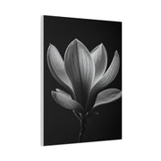 Magnolia Blossom Serenity Monochrome Wall Art & Canvas Prints