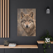 Natural Gray Wolf Close Portrait Wall Art & Canvas Print