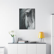 Horse Eye Intimate Monochrome Wall Art & Canvas Print