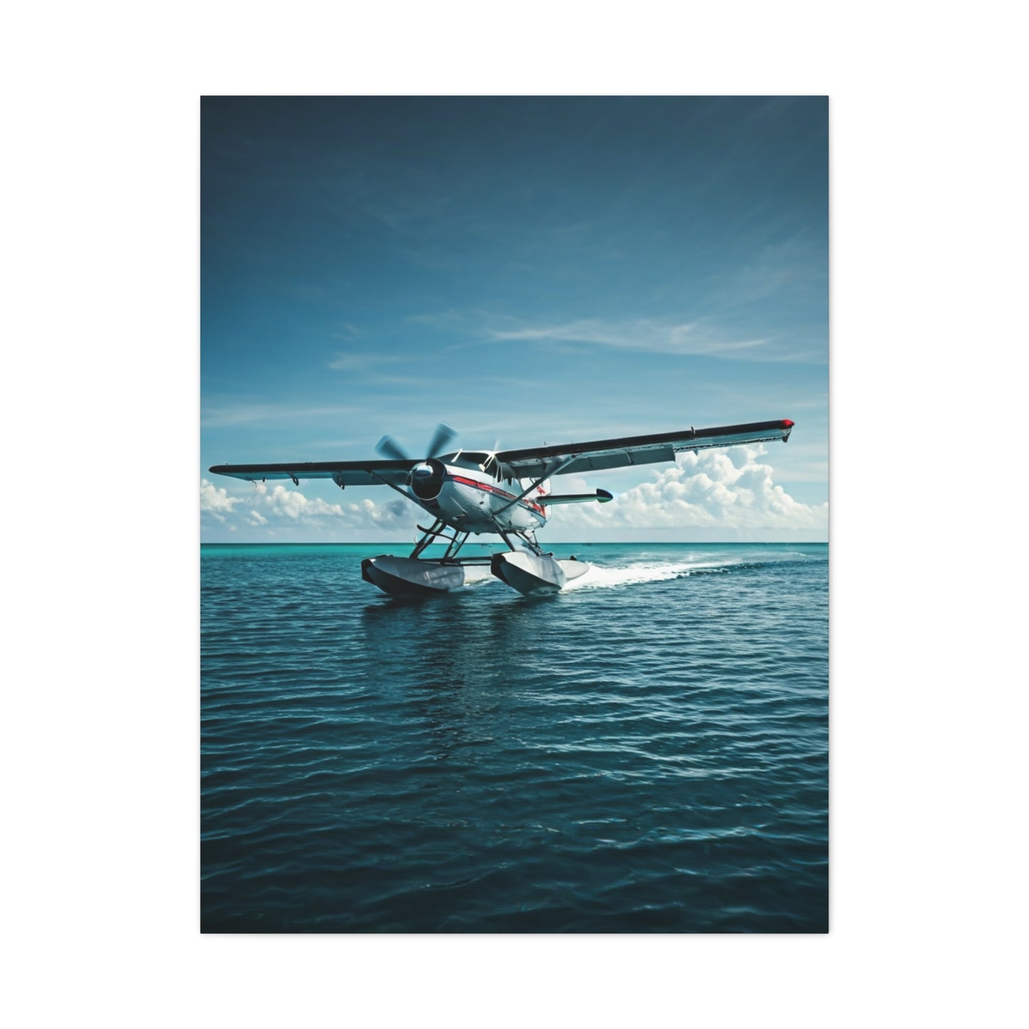 Seaplane Landing Adventure Wall Art & Canvas Prints