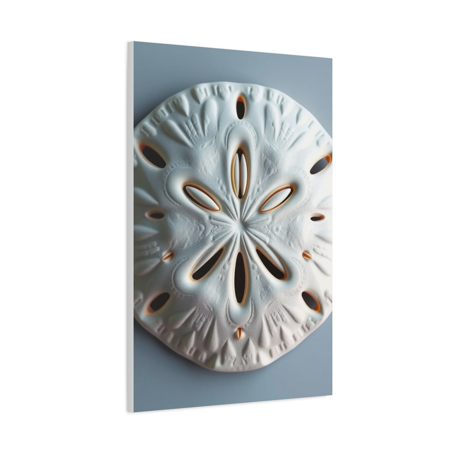 Supreme Sand Dollar Art Beautiful Collection Wall Art & Canvas Print