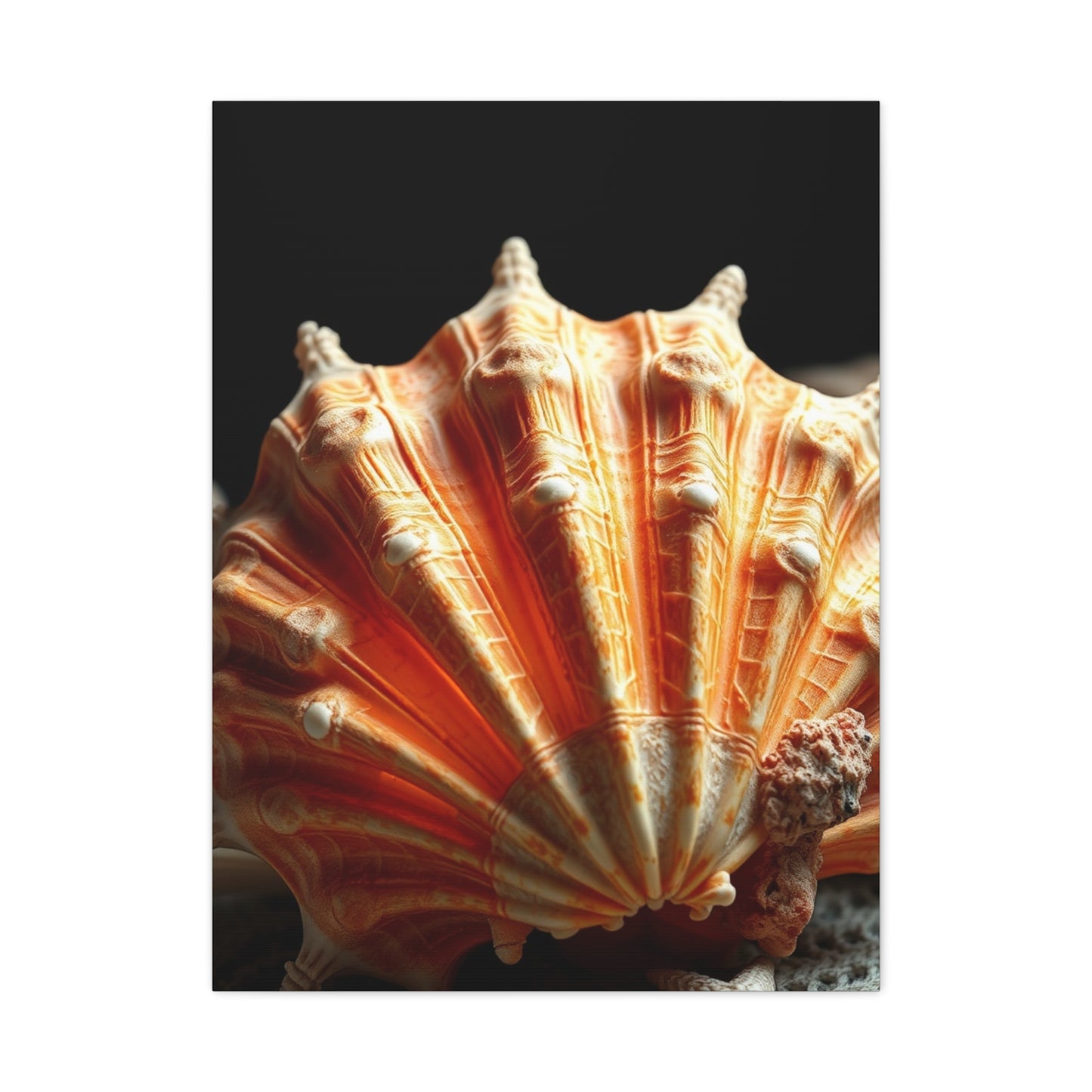 Sea Shell Art Supreme Canvas Wall Art & Canvas Print