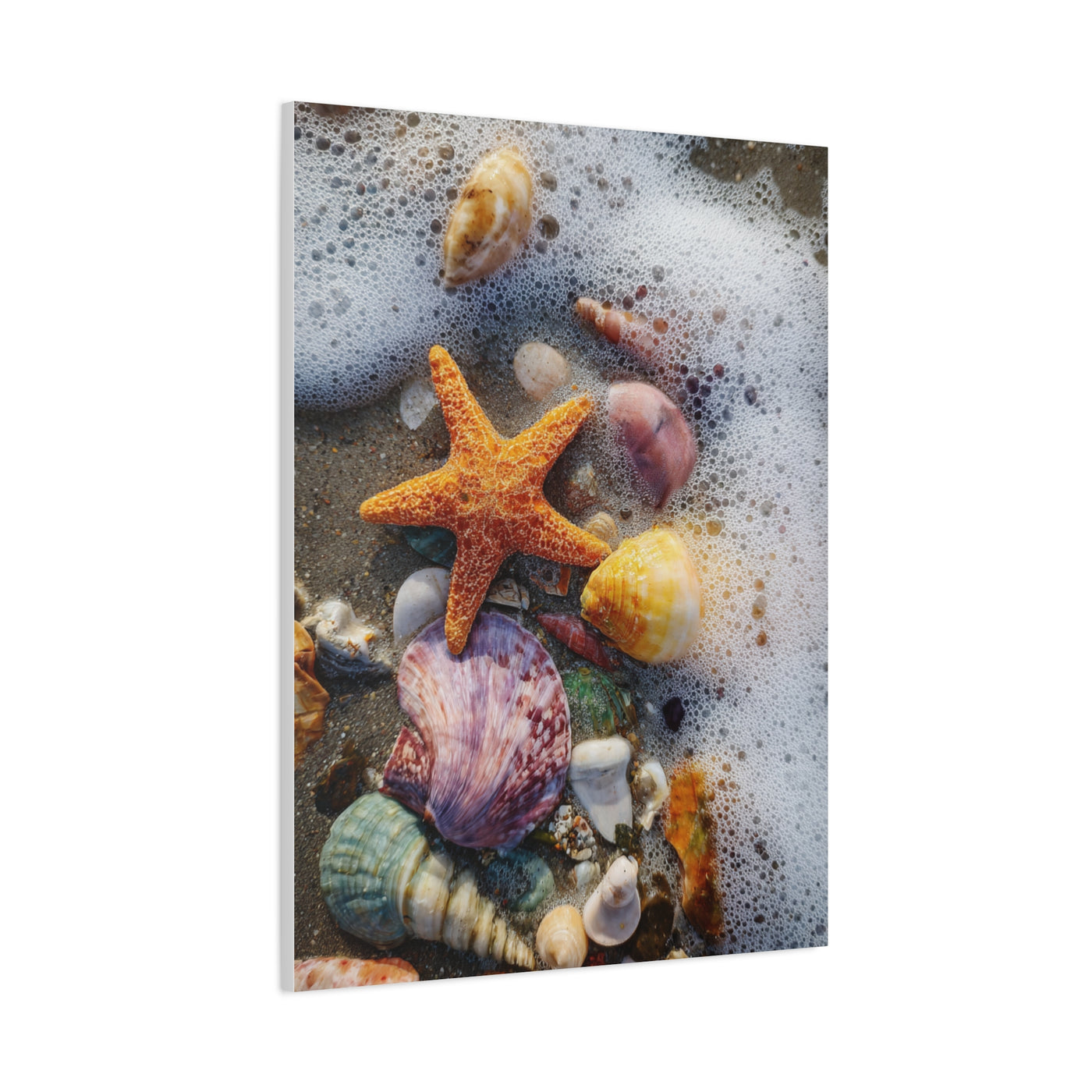 Seashells and Starfish on Ocean Shore Wall Art & Canvas Print