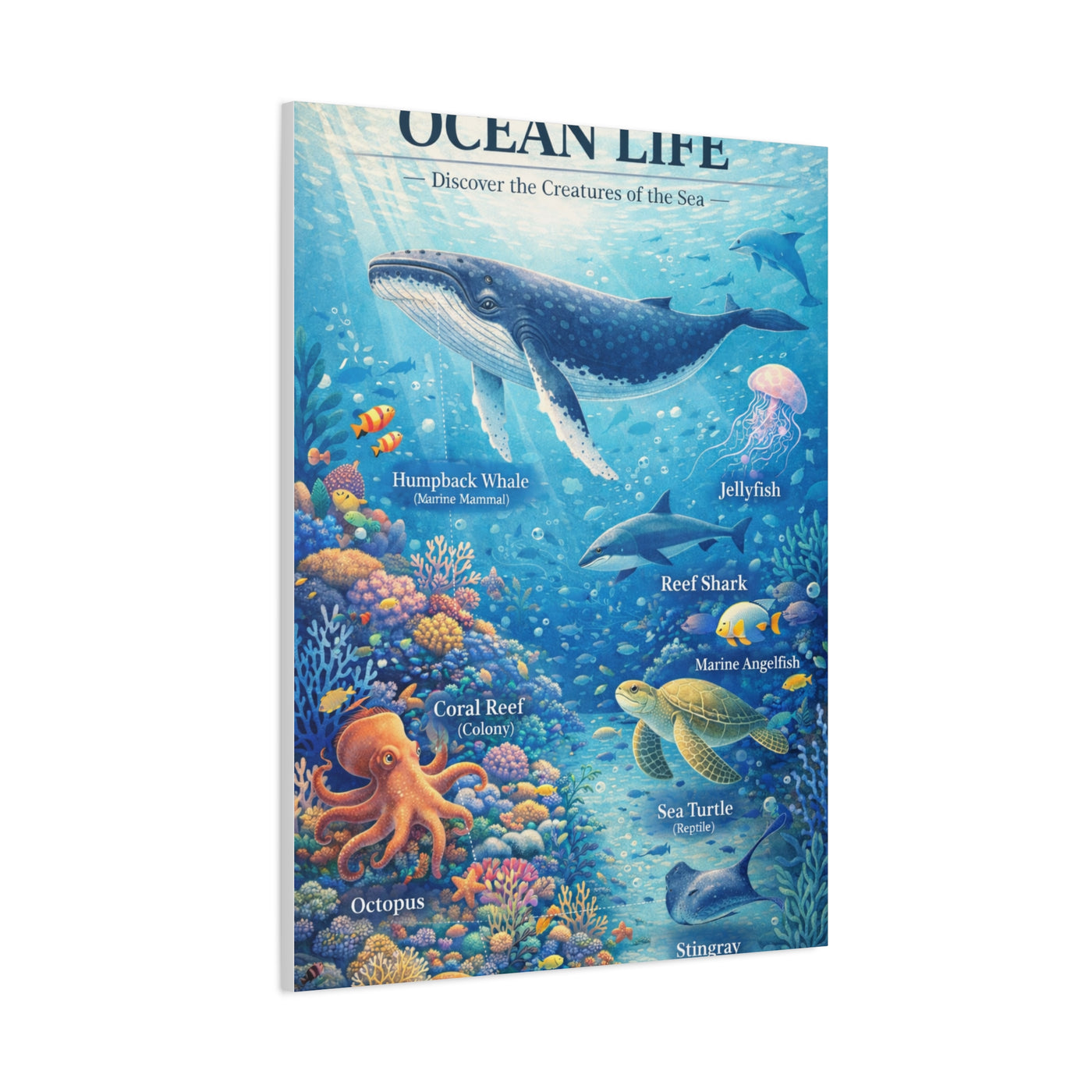 Ocean Life Educational Diagram – Wall Art & Canvas Print
