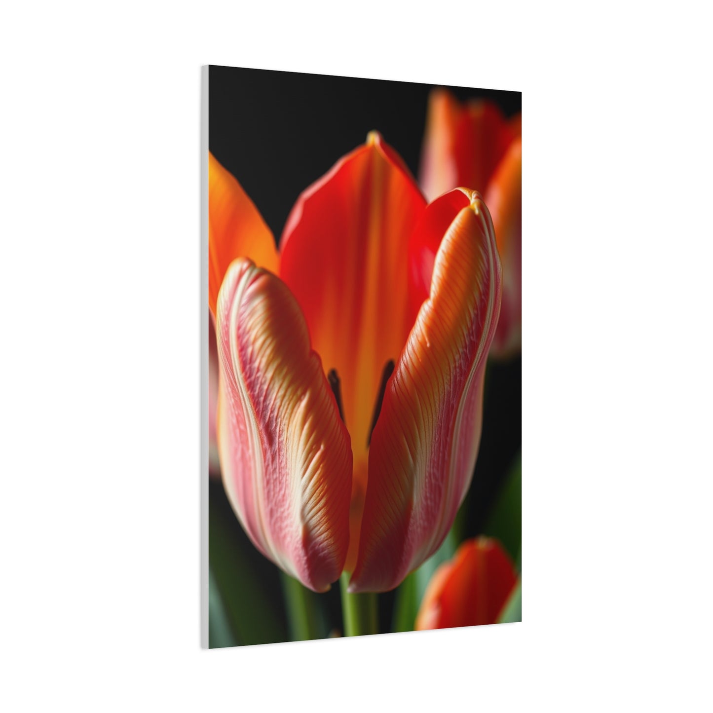 Vision Tulip Flower Art Art Wall Art & Canvas Print