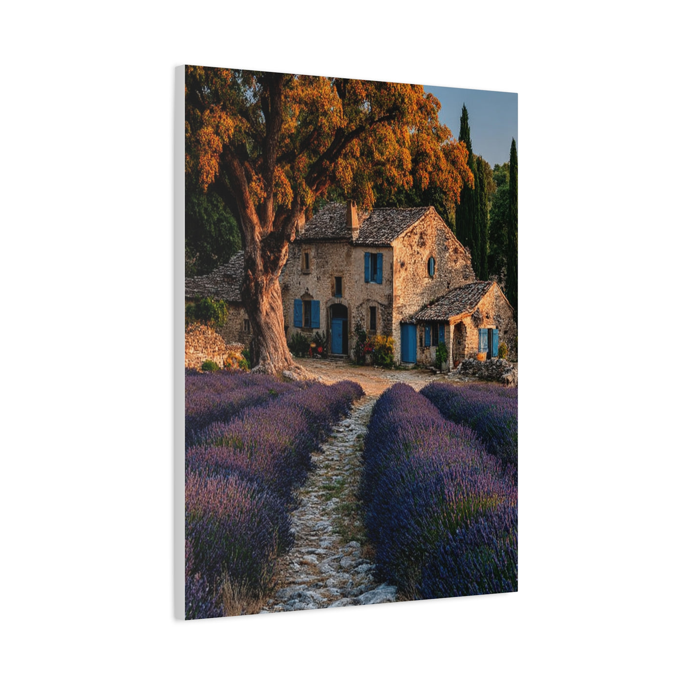 Lavender Field Farmhouse Provence Wall Art & Canvas Print