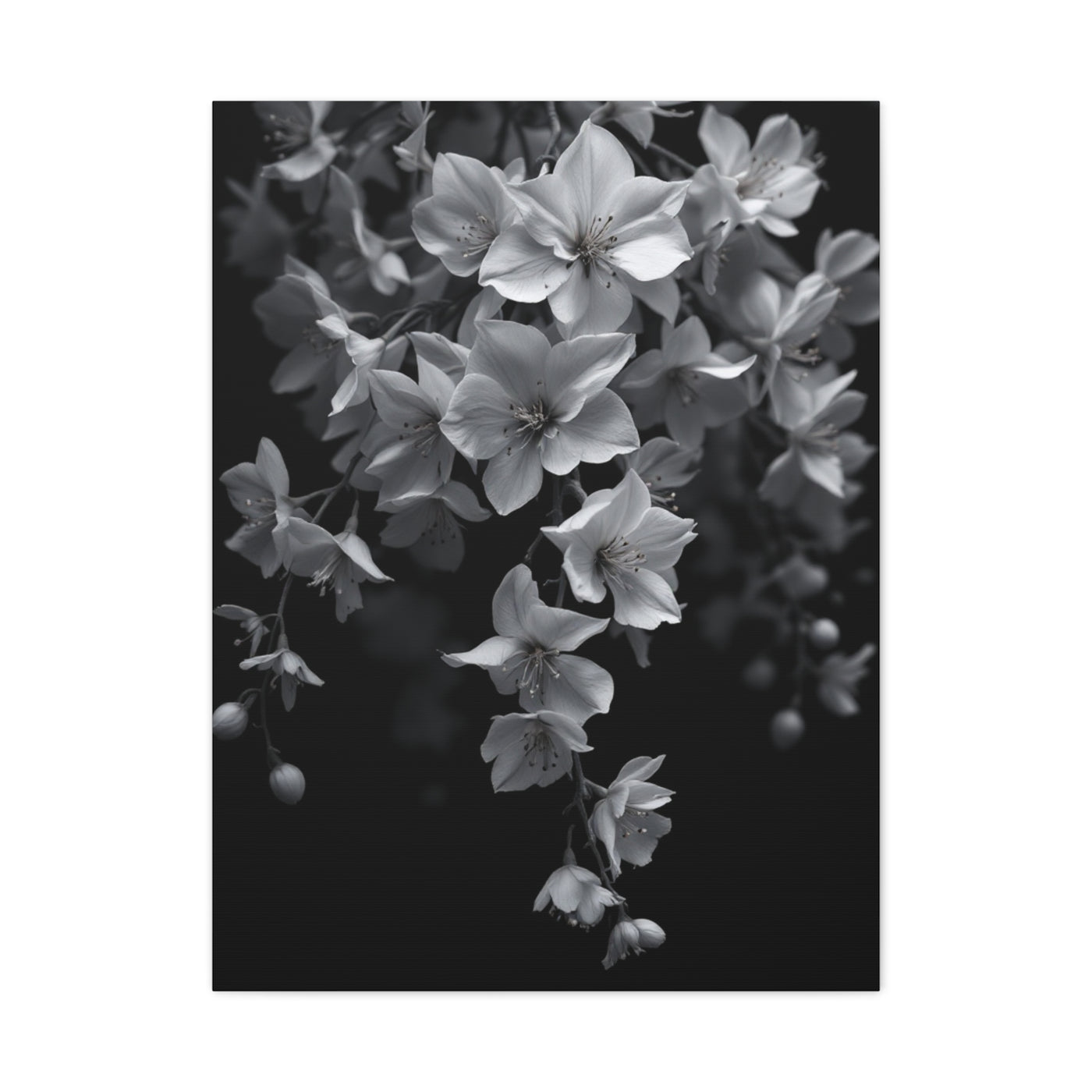 Cascading Cherry Blossom Branch Wall Art & Canvas Prints