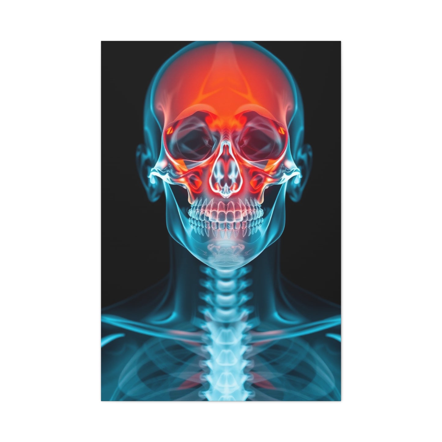 X-Ray Photography Art Supreme Gallery Wall Art & Canvas Print