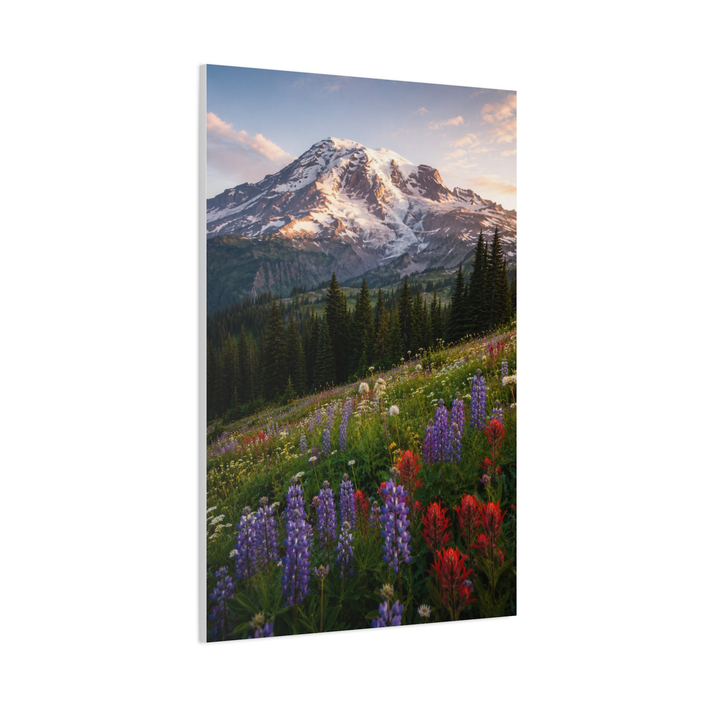 Mount Rainier Wildflower Meadow Wall Art & Canvas Print