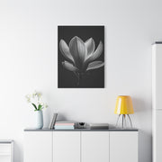 Magnolia Blossom Serenity Monochrome Wall Art & Canvas Prints
