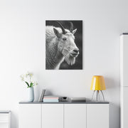 Alpine Goat Portrait Wall Art & Canvas Prints