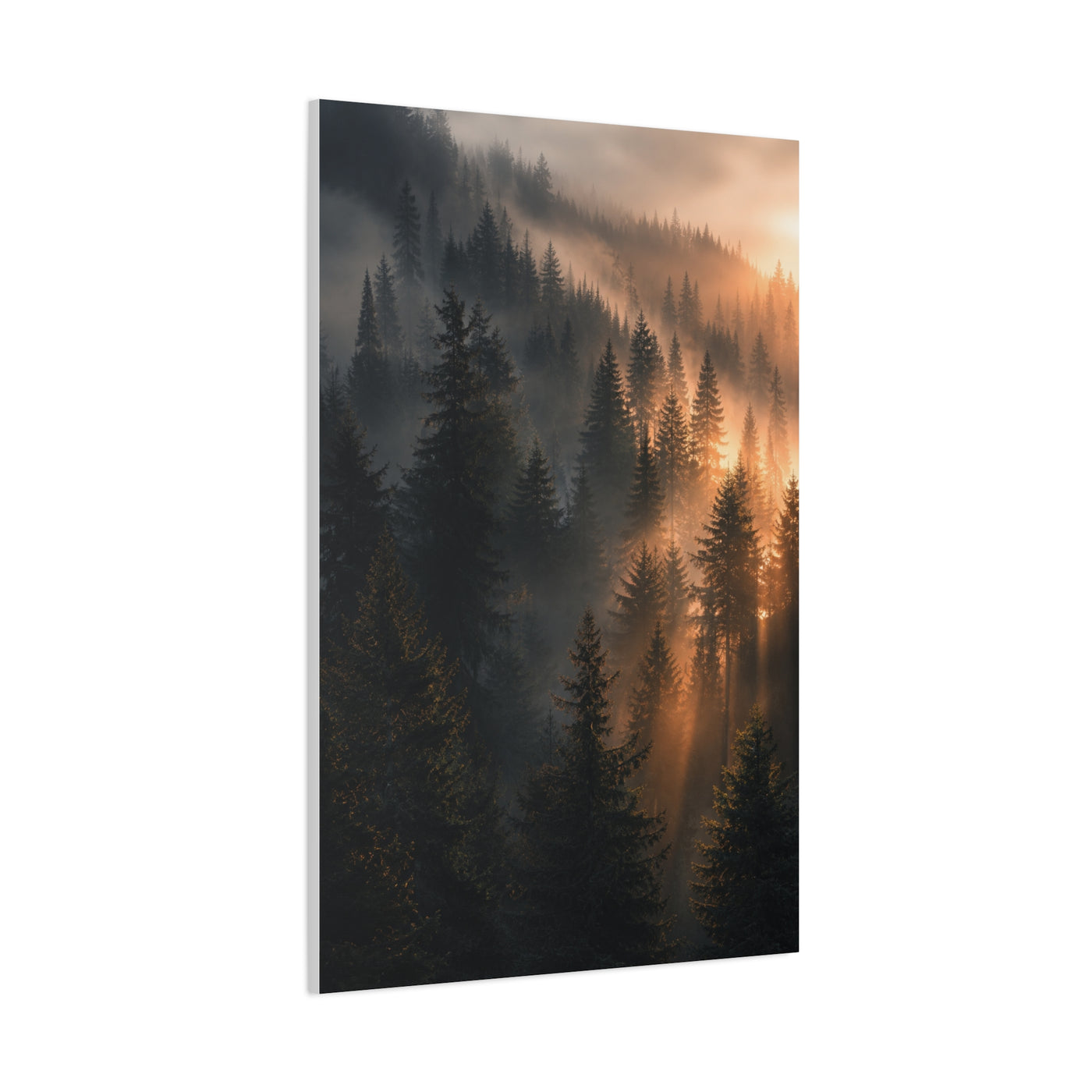 Misty Pine Forest Sunrise Depth Trees Wall Art & Canvas Print