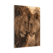 Lion and Lioness Intimate Bond Wall Art & Canvas Print
