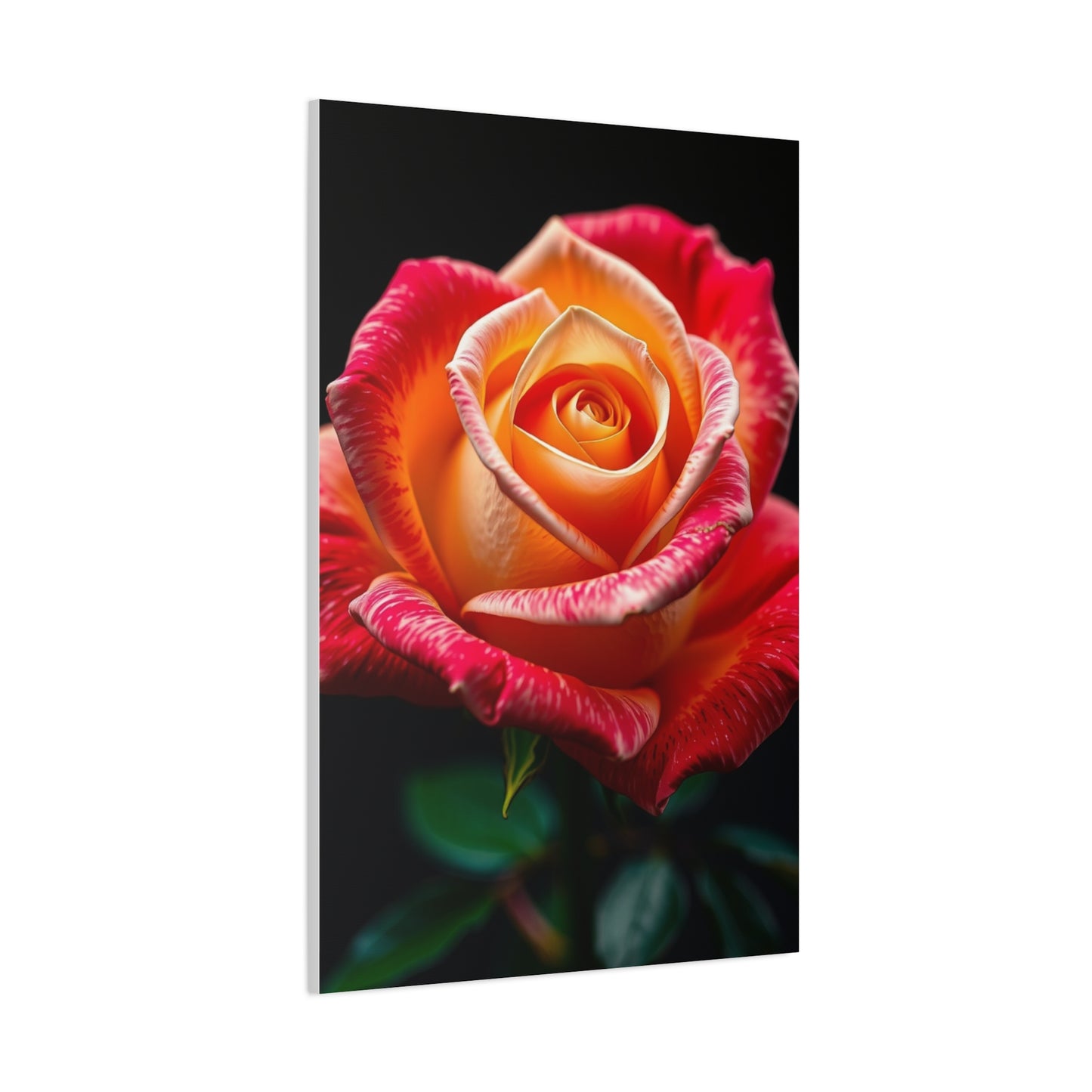 Supreme Rose Art Beautiful Collection Wall Art & Canvas Print