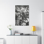 Dramatic Monochrome Alpine Storm Wall Art & Canvas Print