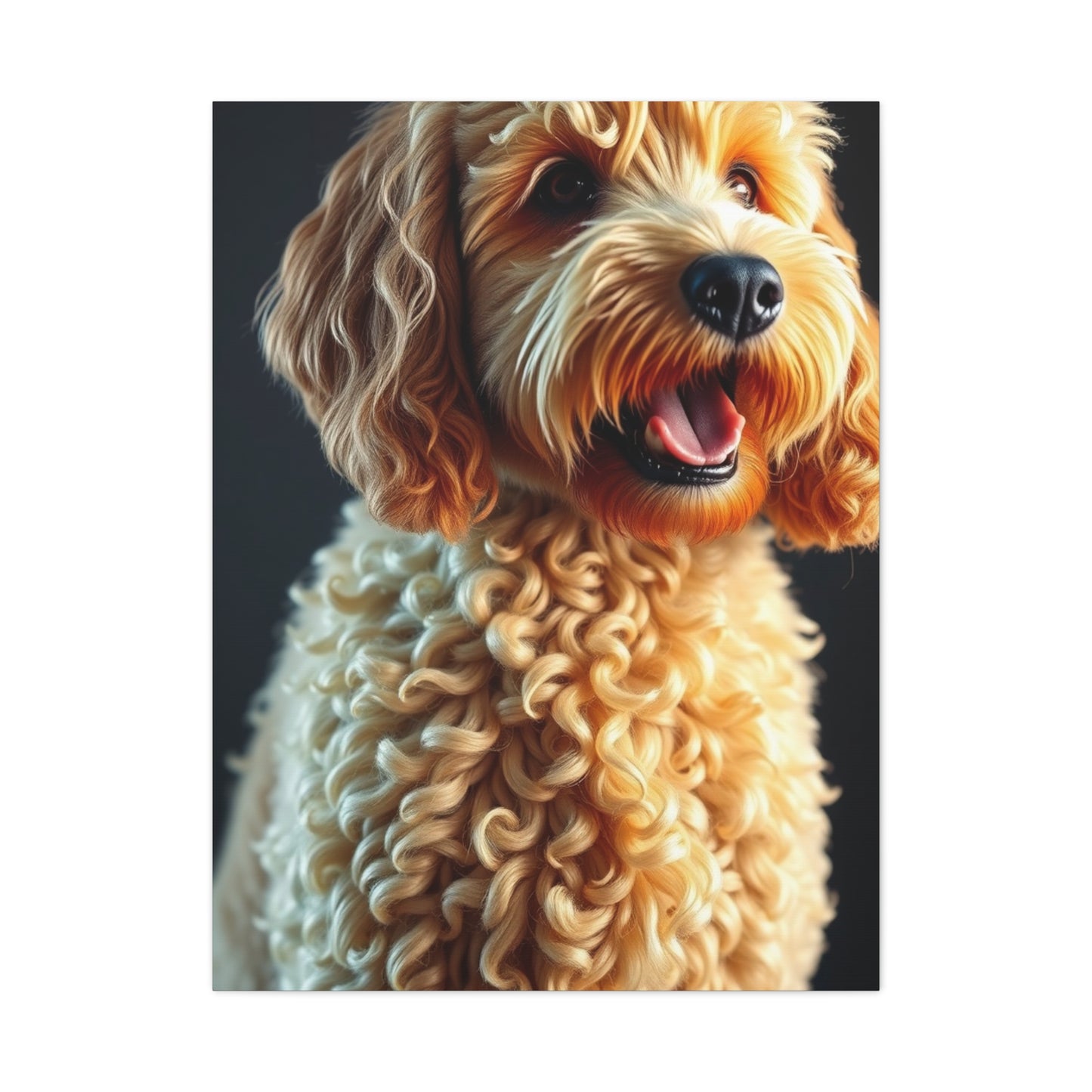 Supreme Art Golden Doodle Art Collection Wall Art & Canvas Print