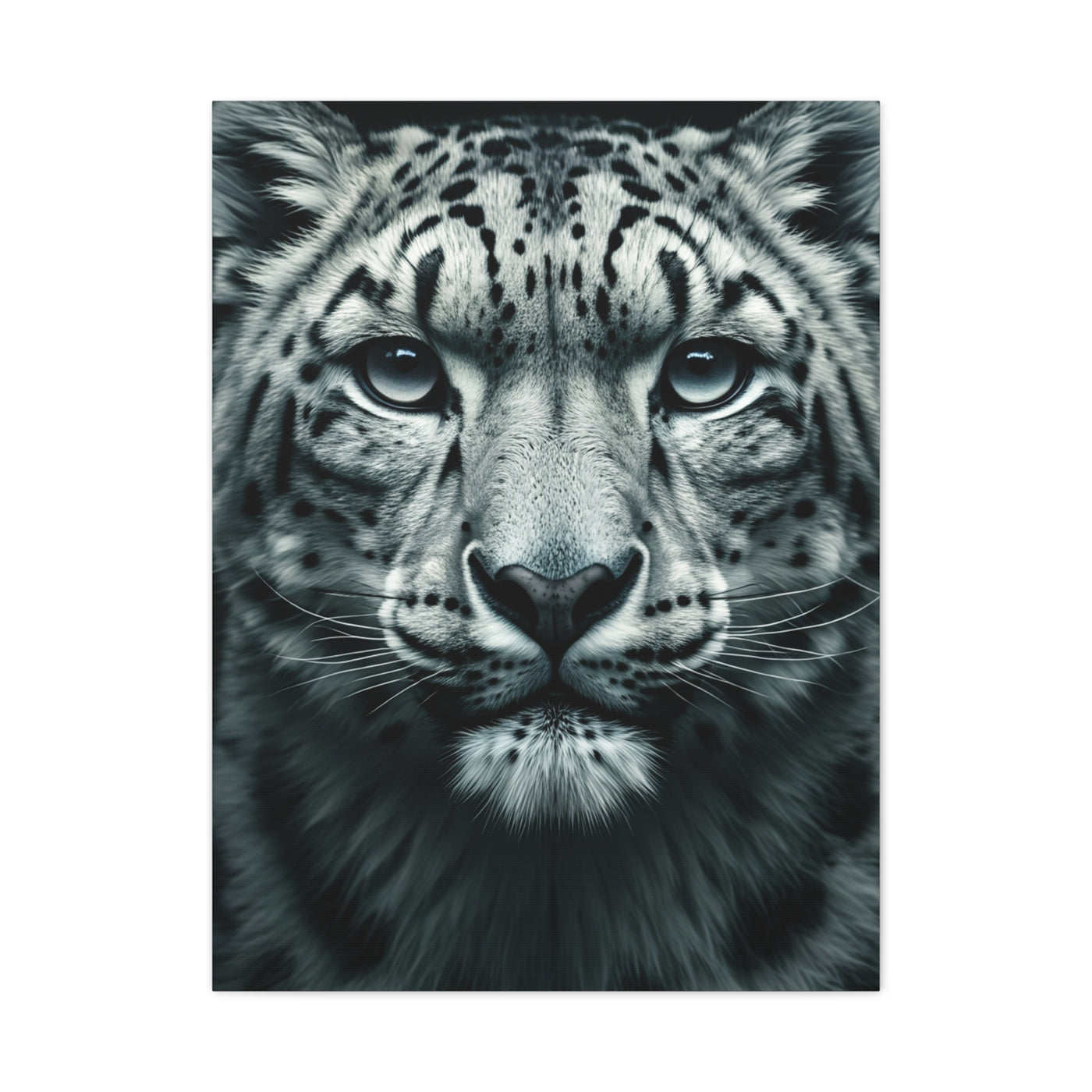 Snow Leopard Intense Gaze Wall Art & Canvas Prints