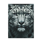 Snow Leopard Intense Gaze Wall Art & Canvas Prints