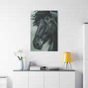 Black Stallion Close Portrait Wall Art & Canvas Print