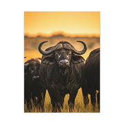 Buffalo Herd in Golden African Sunset Wall Art & Canvas Print