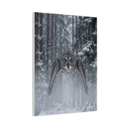 Great Grey Owl Winter Flight Wall Art & Canvas Print