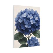 Indigo Hydrangea Bloom Wall Art & Canvas Print