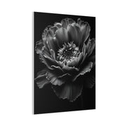 Layered Peony in Soft Shadow Wall Art & Canvas Prints