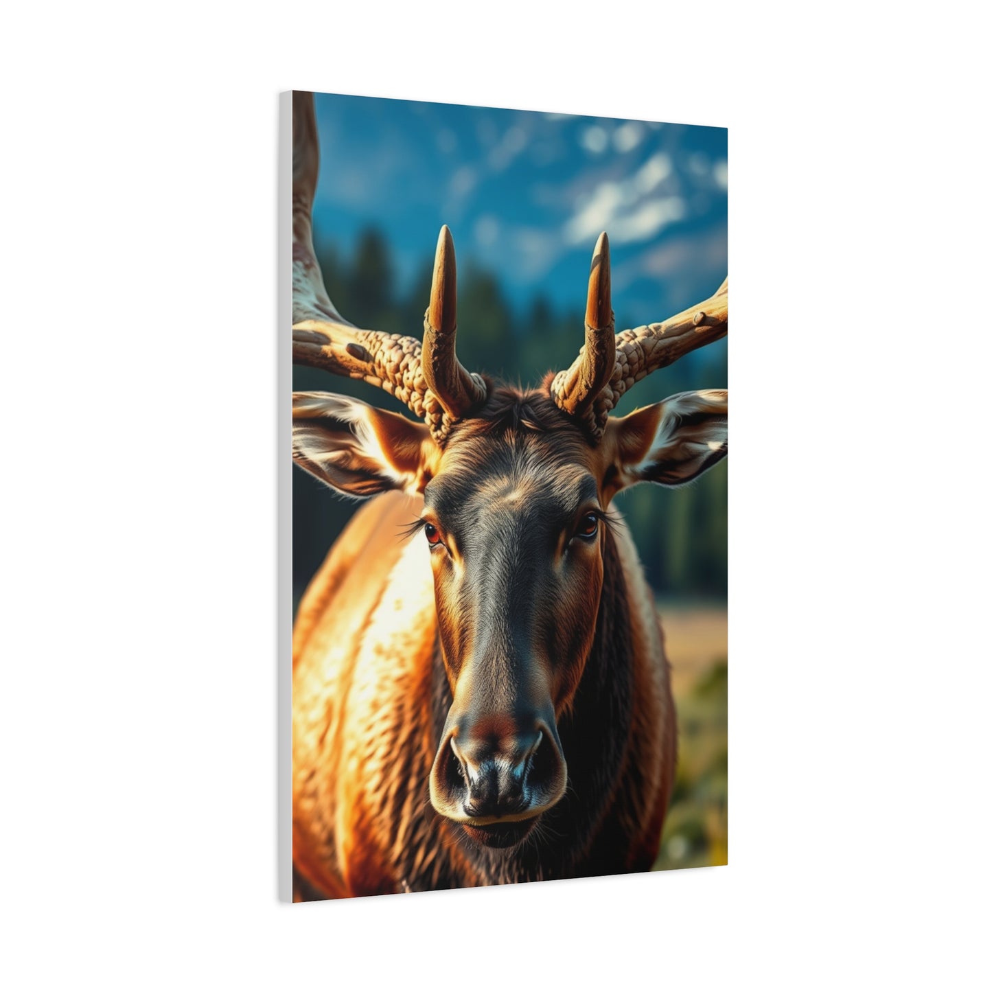 Supreme Elk Art Beautiful Collection Wall Art & Canvas Print
