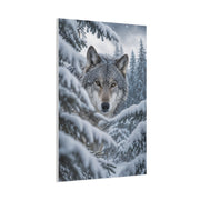 Snow-Covered Pine Wolf Close Portrait Wall Art & Canvas Print