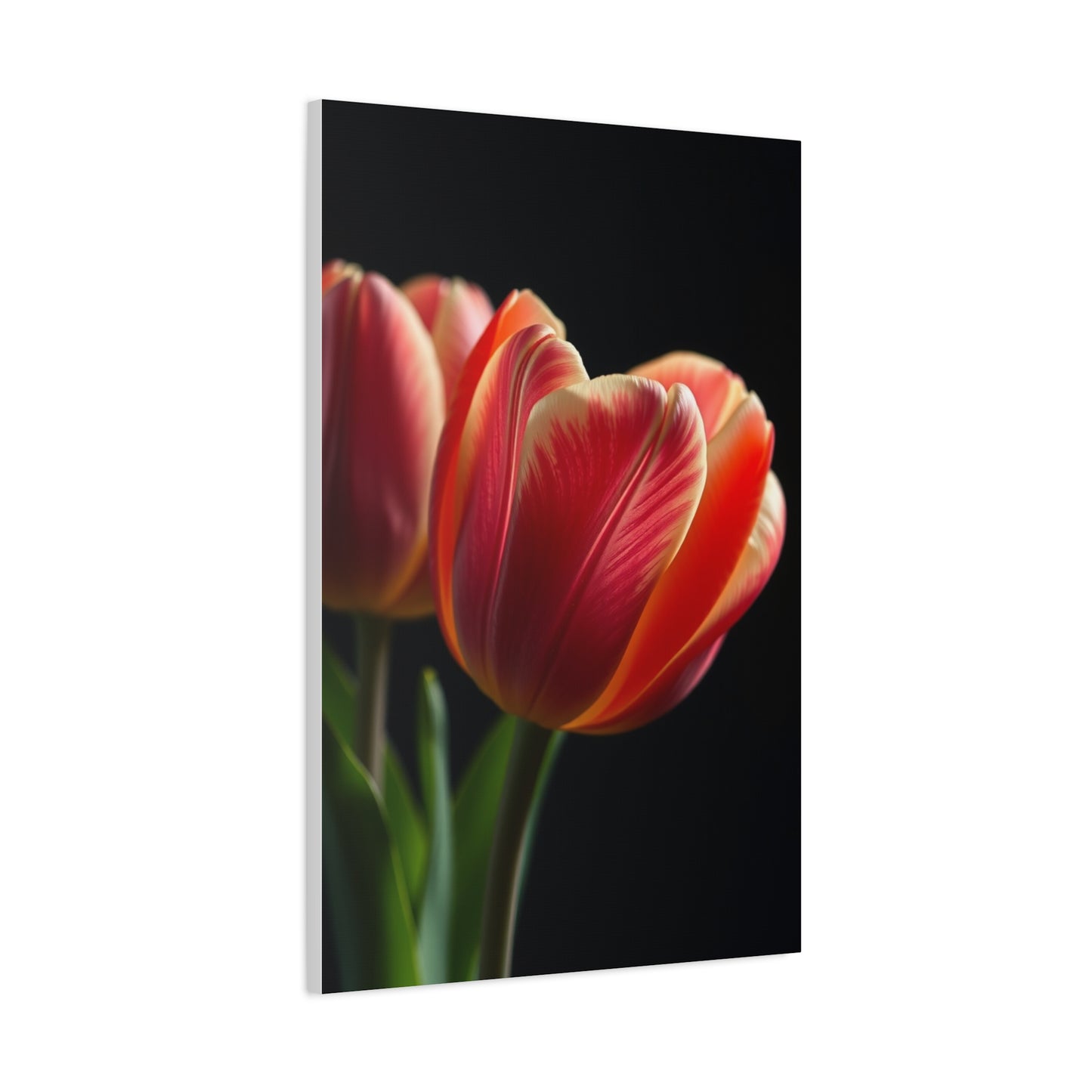 Tulip Flower Art Supreme Canvas Wall Art & Canvas Print