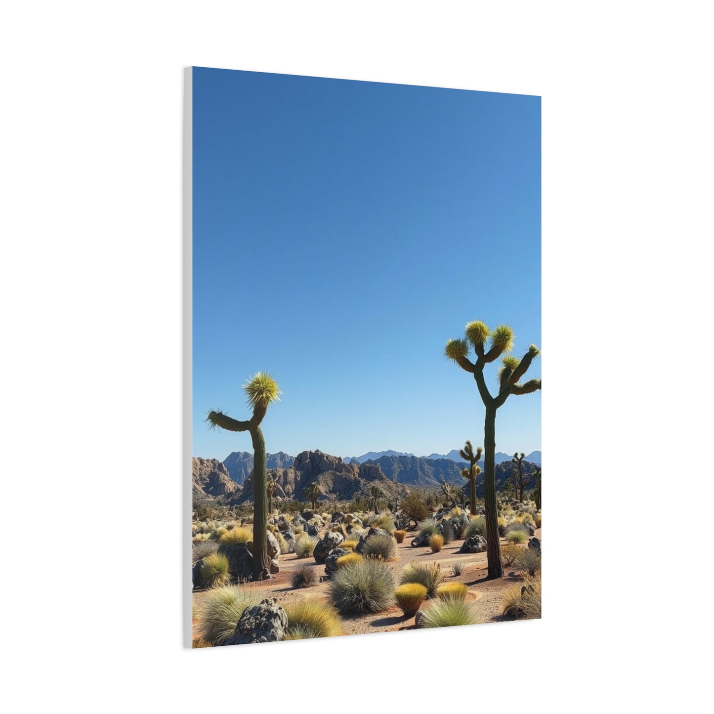 Vision Joshua Tree National Park Art Art Wall Art & Canvas Print