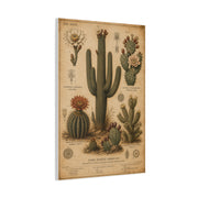 Vintage Desert Botanical Study Southwest Wall Art & Canvas Print