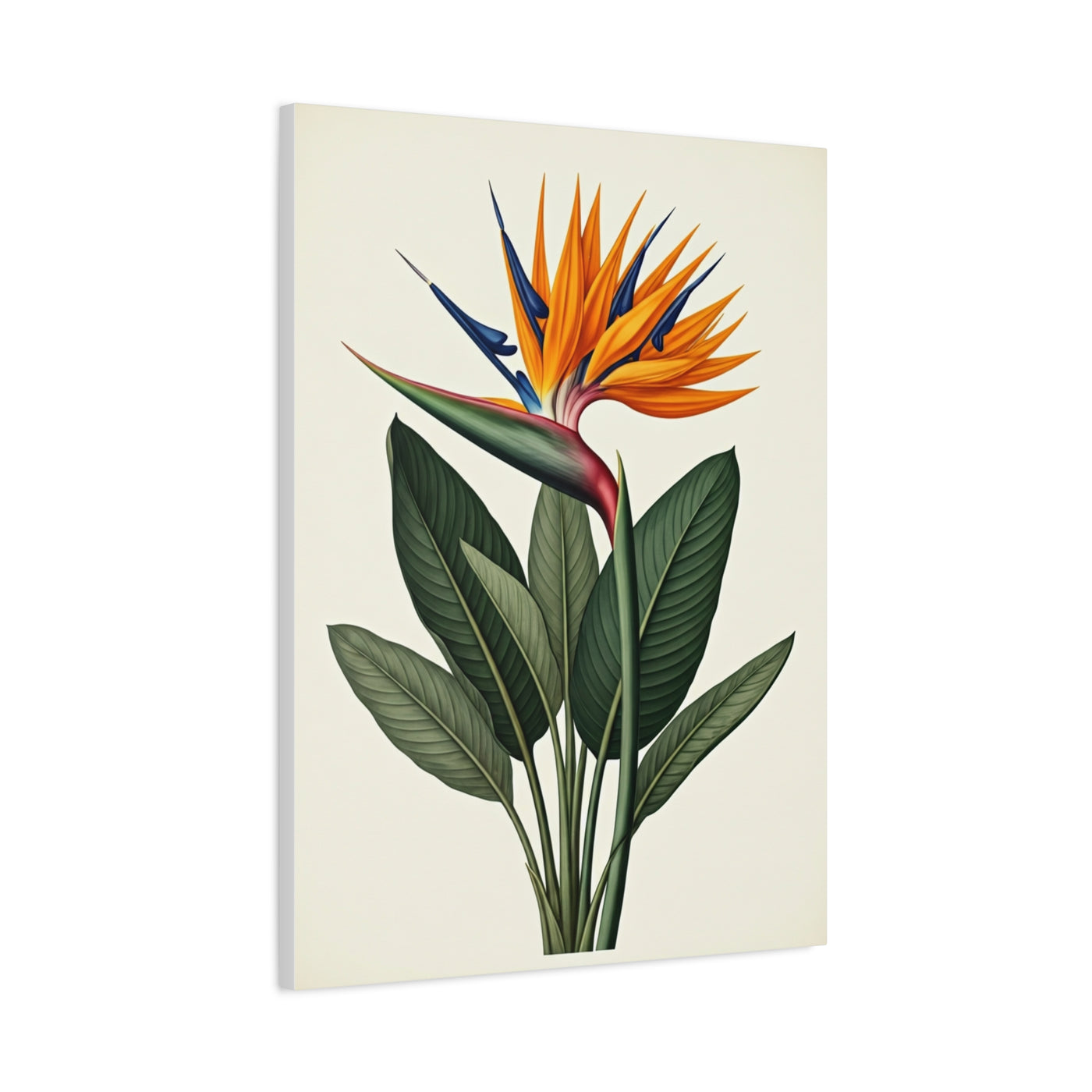Tropical Bird of Paradise Illustration Wall Art & Canvas Prints