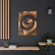 Lion Eye Reflection Macro Wall Art & Canvas Print