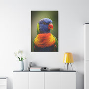 Vibrant Rainbow Lorikeet Wall Art & Canvas Prints