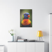 Vibrant Rainbow Lorikeet Wall Art & Canvas Prints