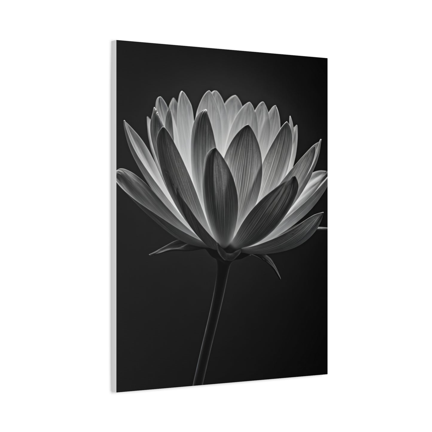Dramatic Hibiscus Petal Study Wall Art & Canvas Prints