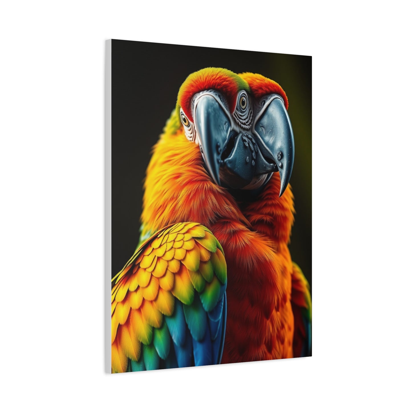 Supreme Parrot Art Beautiful Collection Wall Art & Canvas Print