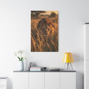 Lion Stalking Through Savannah Grass Wall Art & Canvas Print