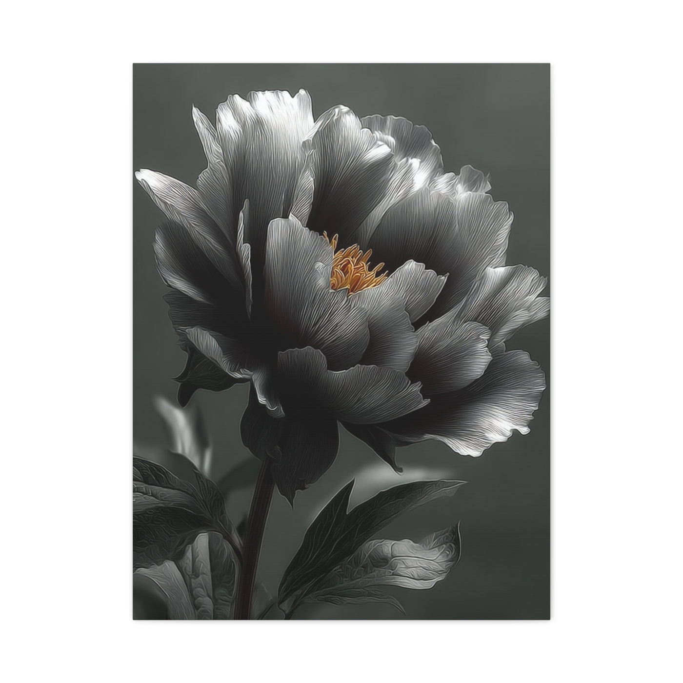 Silver Peony Fine Art Floral Wall Art & Canvas Print